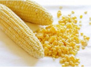 Freeze Dried Sweet Corn